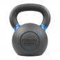 Primal Strength  Premium Cast Kettlebell 40 kg